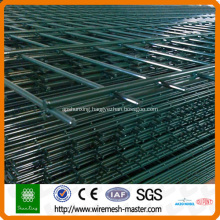 High quality and best price double wire fence